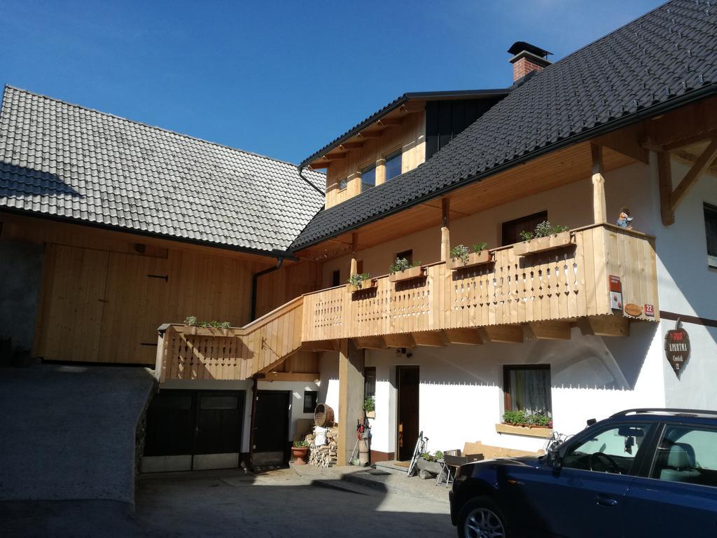 Apartment Ivanka Cvetek Bohinji-tó Kültér fotó