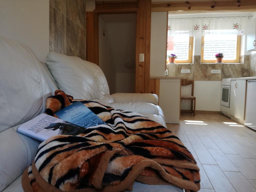 Apartment Ivanka Cvetek Bohinji-tó Kültér fotó