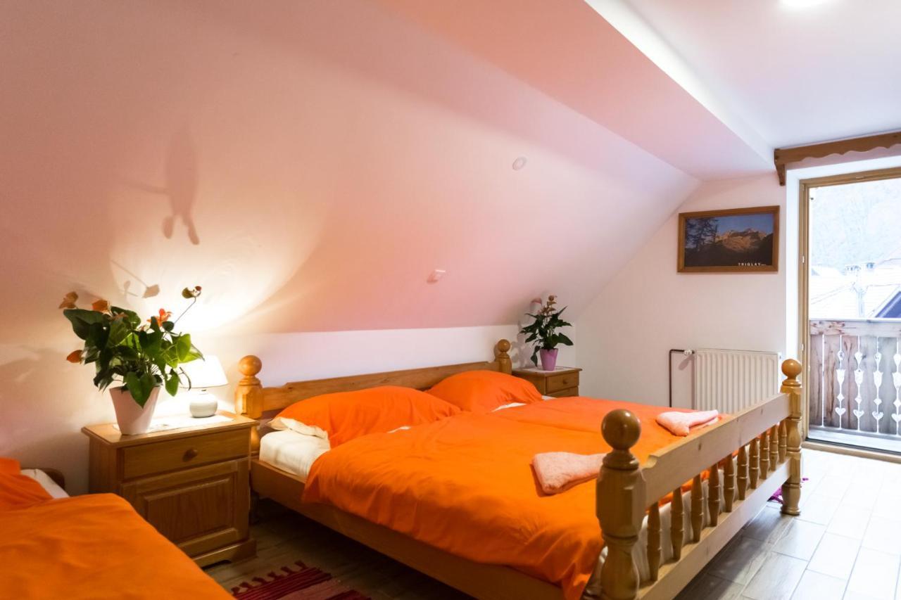 Apartment Ivanka Cvetek Bohinji-tó Kültér fotó